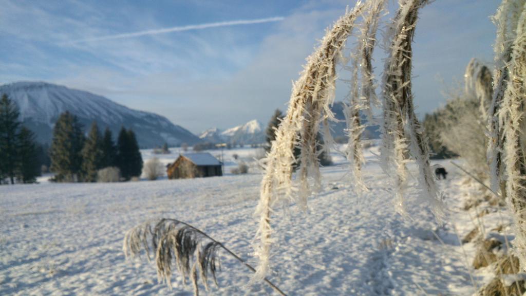 Dreimaederlhaus Am Berg Apartment Pfronten Bagian luar foto